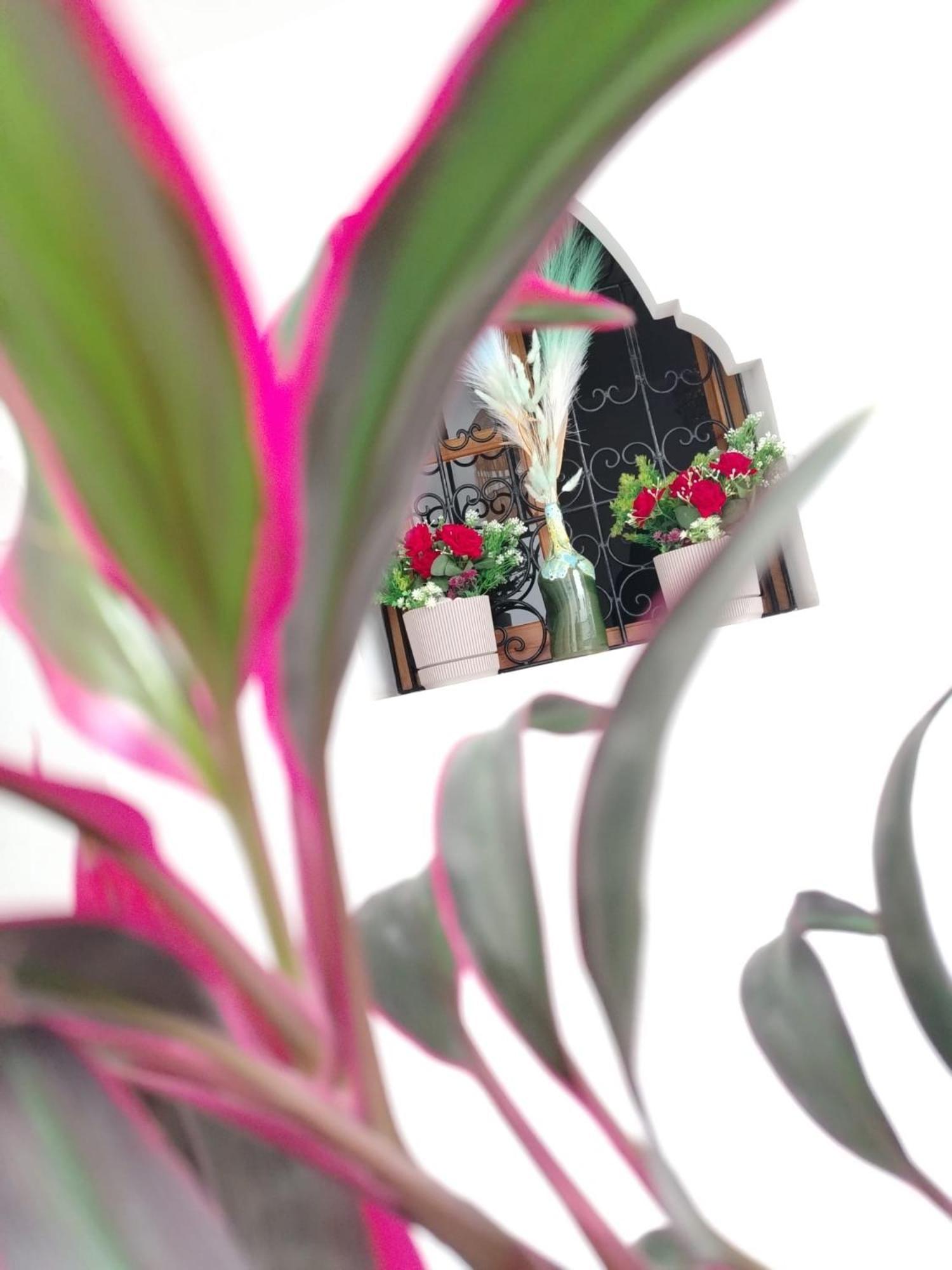 Riad & Spa Sous Le Soleil Chez Jerome & Pamela Suite Essaouira Маракеш Екстериор снимка